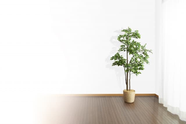 風の時代におすすめの生き方